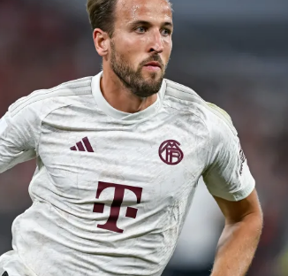 放在一起看 放在一起看